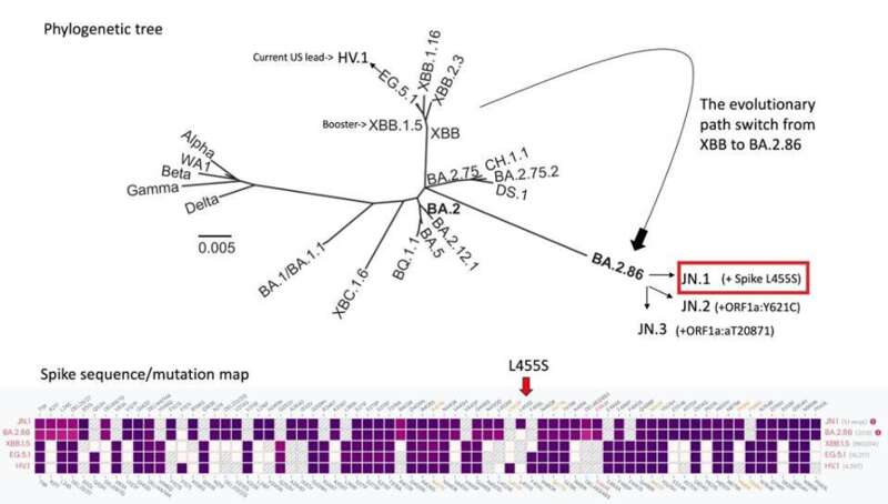 新冠病毒的进化树，其中标红框的为 JN.1